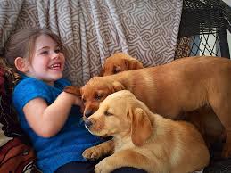 The children used to dress them up, sleep with them, play with them, and love them. Houston Labs Home Facebook