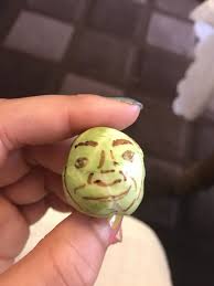 Somebody Once Told Me The World Is Gonna Roll Me Shrek Pin By Leila Whincup On Shrek Shrek Memes Shrek All The Things Meme