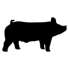Show Pig Silhouette 2 Show Pig Silhouette Outline Great Free Clipart Silhouette Coloring Pages And Drawings Pig Silhouette Show Cattle Showing Livestock