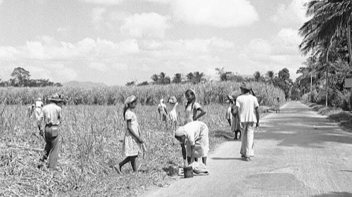 Cambridge launches first-ever Indian indentured labour fellowship - India Today