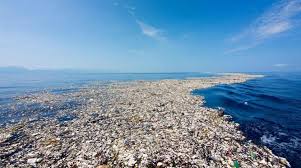 Senyawa kimia di dalam plastik. Ancaman Sampah Plastik Untuk Ekosistem Laut Harus Segera Dihentikan Bagaimana Caranya Mongabay Co Id