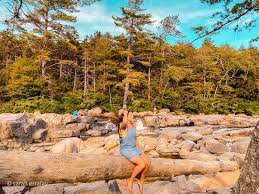 A short walk from the kancamagus highway (route 112), sabbaday falls is a favorite pit stop for tourists and tripyramid hikers alike. Fall Foliage In New England Road Trips And Tips Travels Of Sarah Fay