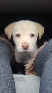 My plus size friends!!! Help!!! What rides should I refrain from  embarrassing myself from 😆 I carry most my weight