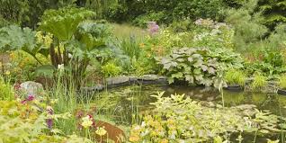 Sometimes large rocks can be the perfect way to create your backyard paradise. 10 Things You Need To Know Before You Create A Wildlife Pond