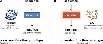 Check spelling or type a new query. Sequence To Function Relationship A Structure Function Paradigm And Download Scientific Diagram