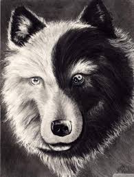 Yin yang tattoo ideas, designs, and meaning. Big On Style Cool Yin Yang Wolf Tattoo Idea Yin Yang Tattoos Wolf Tattoos Yin Yang Wolf