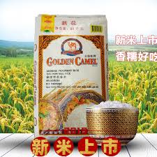 Our currency rankings show that the most popular british pound exchange rate is the gbp to eur rate. 2020 New Rice Imported Original Golden Camel Thai Jasmine Rice 50 Pounds Of New Rice