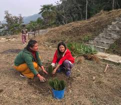 How is stabilizing climate related to fossil fuel use? Global Forest Coalition The Impacts Of Tree Plantations On Women Women Led Resistance To Monocultures Global Forest Coalition