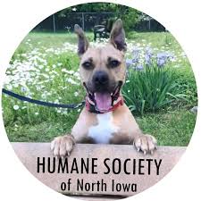 The primary purpose of waverly pet rescue is to find loving and responsible homes for all the animals is our. Humane Society Of North Iowa Home Facebook