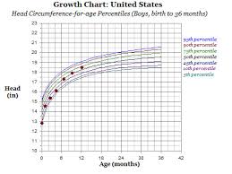Growth Chart 12 Months Head Circumference Lovemeghan Flickr