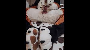 Elastrator Play w @Angrybarks