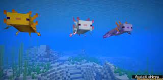 By edward barker staff writer. Minecraft 1 17 Snapshot Download Snapshot 20w51a Wminecraft Net