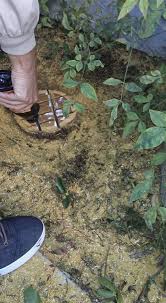 Maybe you would like to learn more about one of these? Hernandez Tree Trimming Home Facebook