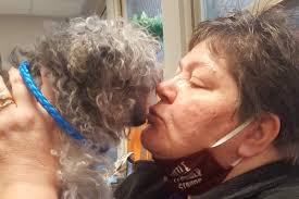 Animal Care and Control Team