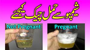 Pregnancy check karne ka tarika in urdu حمل چیک کرنے کا آسان طریقہ youtube. Pregnancy Test At Home Shampoo 2017 Pregnancy Test At Home Youtube