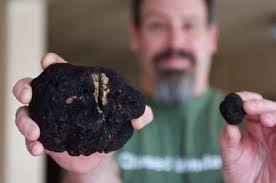 Hunter digs up a monster mushroom, an Oregon black truffle, and onto the  menu it goes at Higgins