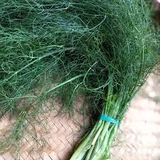 Minyak adas yang dikandung biji tanaman ini merupakan salah satu komponen minyak telon. Daundill Instagram Posts Photos And Videos Picuki Com