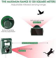Die hohen ultraschalltöne halten katzen und hunde vom sandkasten, dem rasen, dem. Vadooll Katzenschreck Tiervertreiber Solar Kaufland De