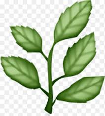 Check spelling or type a new query. Guessup Guess Up Emoji Arti Arti Emoticon Emoji Daun Sayuran Makanan Png Pngegg