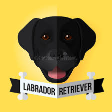 5,321 labrador dog clip art images on gograph. Labrador Stock Illustrations 12 432 Labrador Stock Illustrations Vectors Clipart Dreamstime