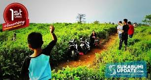 Di ngawi, anda bisa menemukan sensasi tersebut bila mengunjungi kebun teh jamus seluas 478.2 hektare. Ngabuburit Di Lokasi Perkebunan Favorit Warga Tegallega Lengkong Kabupaten Sukabumi