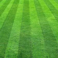 Connect with the best lawn care contractors in your area who are experts at maintaining lawns, cutting grass, and applying lawn treatments. Best Lawn Mowing Patterns Cardinal Lawns
