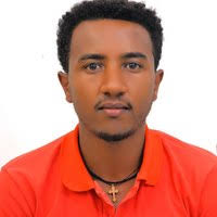 PDF) Evaluating Hydraulic Performance Of Water Supply Distribution Network:  A Case of Asella Town, Ethiopia