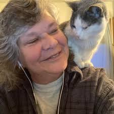 Is the e-bike rebate site legitimate and how to successfully apply?