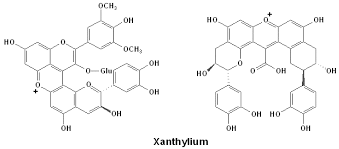 Molecules Free Full Text Anthocyanins And Their Variation In Red Wines Ii Anthocyanin Derived Pigments And Their Color Evolution Html