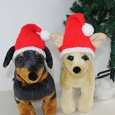 Maybe you would like to learn more about one of these? Ravelry Dog Christmas Santa Hat Pattern By Christine Grant