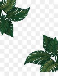 Leaves Png Leaves Transparent Clipart Free Download Flower Watercolor Painting Floral D Dibujos Botanicos Fondos Acuarela Plantillas De Fondo De Powerpoint