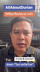 ท๊อปลูก ท๊อปต้น ท๊อปใบ “รากเน่าโคนเน่า ไฟท๊อปเทอร่า ” #ลาแทมแอนเธอ