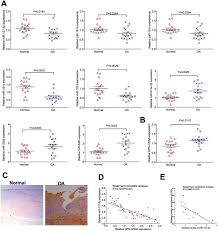 Euro / moldovan leu currency exchange rate. Microrna 127 5p Regulates Osteopontin Expression And Osteopontin Mediated Proliferation Of Human Chondrocytes Scientific Reports