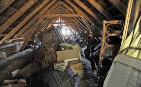 Do I Have Mice In My Attic
