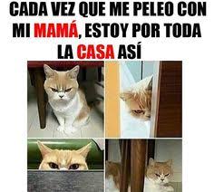 Ver más ideas sobre meme del dia, memes divertidos, memes graciosos. Meme Calzones Rotos Dia Del Padre