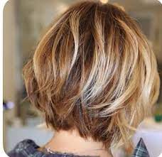 Shorthair Coupe De Cheveux Coiffure Nouvelles Coiffures