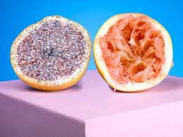 Pin By Ariel Gagnon On Food For Thought Best Fruits Fruit New Fruit
