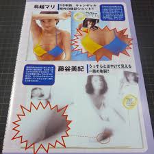 日本代購代標第一品牌【樂淘letao】－◎お宝ハプニング☆鈴木保奈美☆鳥越マリ☆大河内奈々子☆藤谷美紀ハイレグ食い込みスジワレメ乳首ポッチ【A4サイズ切り抜き2p】