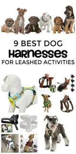 shop by category ebay toy puppies dog harness dogs