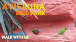 Avifauna Vogelpark The Netherlands - YouTube