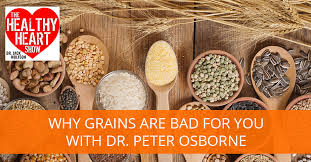 Osborne on a true gluten free diet. Why Grains Are Bad For You With Dr Peter Osborne