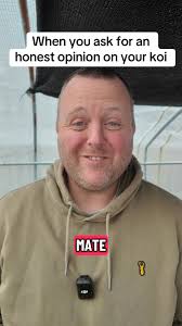 Asking for an appraisal of your koi can be a dangerous game… koi keepers  don’t hold back, and sometimes you wish you hadn’t asked! 😂 #koi #koifish  #koipond #koikeeping #pond