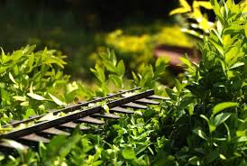 Die sonnenstunden werden deutlich weniger, dafür nimmt die. Der Garten Im Herbst Braucht Viel Aufmerksamkeit News Das Magazin