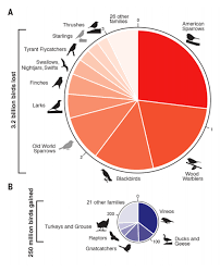 If you're still haven't solved the crossword clue american wild cat then why not search our database by the letters you have already! North America Has Lost Nearly 3 Billion Birds Since 1970 Science Smithsonian Magazine