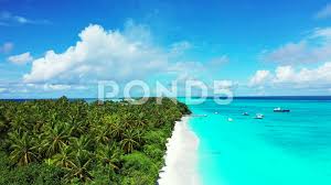 Cartoon Island Drawing Birds Eye View Bird S Eye View On The Shore Of Tropical Island Surrounded By Ocean Clear Stock Footage Ad Shore Tropical View Bird Tropical Islands Birds Eye View Ocean