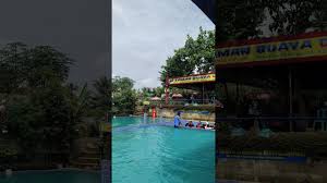 Purwokerto, siapa yang tidak tahu tentang kota ini. Wisata Kolam Renang Desa Windujaya Youtube Info Wisata Hits