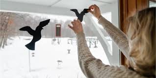 How To Keep Birds From Hitting Windows Glass Doctor