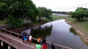 Check spelling or type a new query. Timberwood Park Pond Youtube