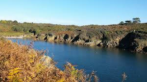Automne En Bretagne Doelan Bretagne