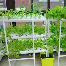 8 Best Hydroponic Drip System Of 2021 Reviewed Buyer S Guide